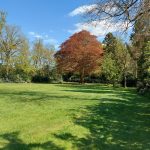 Pastorie_Tuin